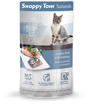 Ocean Fish with Salmon