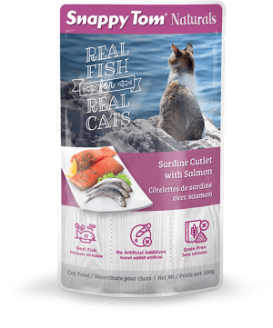 Sardine Cutlet with Salmon